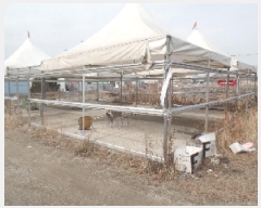  2025Ÿ194 泲   縮 262-1      ()