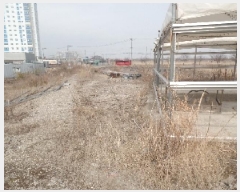  2025Ÿ194 泲   縮 262-1      ()