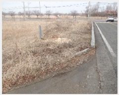  2025Ÿ194 泲   縮 262-1      ()