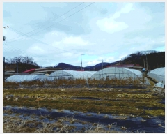  2025Ÿ��293  �����