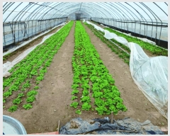  2025Ÿ��293  �����