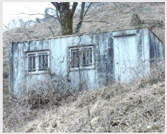  2025Ÿ��293  �����