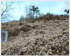  2025Ÿ��293  �����