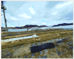  2025Ÿ��293  �����