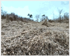  2025Ÿ��293  �����