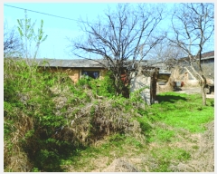  2025Ÿ��354  ����