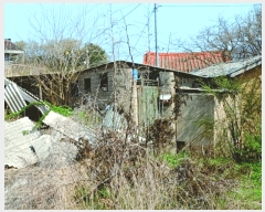  2025Ÿ��354  ����