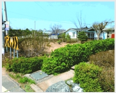  2025Ÿ��354  ����