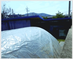  2025Ÿ��354  ����