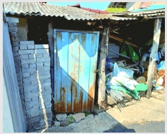  2025Ÿ��354  ����