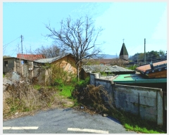  2025Ÿ��354  ����