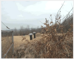  2025Ÿ��382 �泲 ����� ������ �Ŵ縮 12-18      ����(��1)���