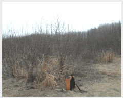  2025Ÿ��382 �泲 ����� ������ �Ŵ縮 12-18      ����(��1)���