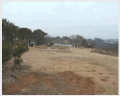  2025Ÿ��382 �泲 ����� ������ �Ŵ縮 12-18      ����(��1)���