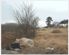  2025Ÿ��382 �泲 ����� ������ �Ŵ縮 12-18      ����(��1)���