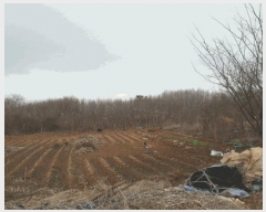  2025Ÿ��382 �泲 ����� ������ �Ŵ縮 12-18      ����(��1)���