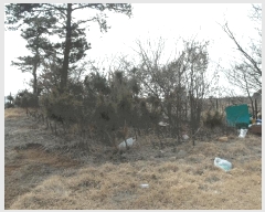  2025Ÿ��382 �泲 ����� ������ �Ŵ縮 12-18      ����(��1)���