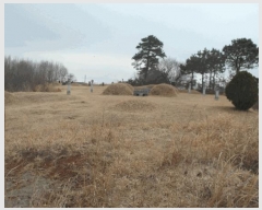  2025Ÿ��382 �泲 ����� ������ �Ŵ縮 12-18      ����(��1)���