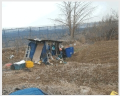  2025Ÿ��382 �泲 ����� ������ �Ŵ縮 12-18      ����(��1)���