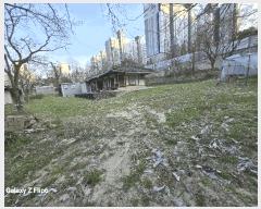  2025Ÿ390 泲  θ ΰ踮 65      ()