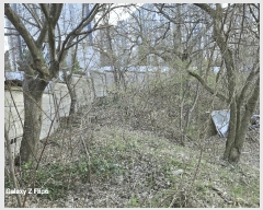  2025Ÿ390 泲  θ ΰ踮 65      ()