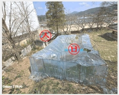  2025Ÿ390 泲  θ ΰ踮 65      ()