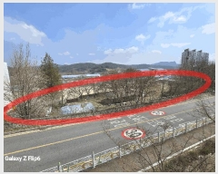  2025Ÿ390 泲  θ ΰ踮 65      ()