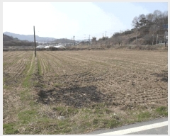  2025Ÿ394 泲   ù 732-3      ()