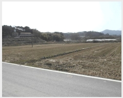  2025Ÿ394 泲   ù 732-3      ()