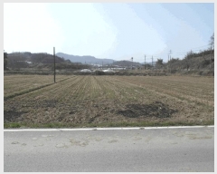  2025Ÿ394 泲   ù 732-3      ()