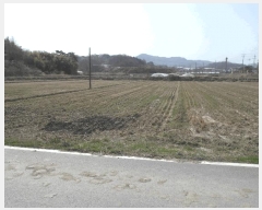  2025Ÿ394 泲   ù 732-3      ()