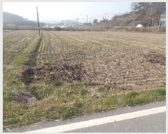  2025Ÿ394 泲   ù 732-3      ()