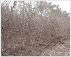  2025Ÿ��396  �Ӿ߰��