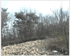  2025Ÿ��396  �Ӿ߰��