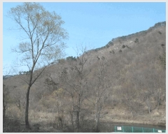  2025Ÿ��396  �Ӿ߰��