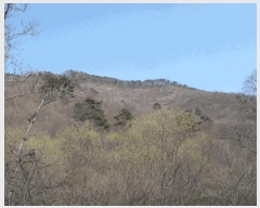  2025Ÿ��396  �Ӿ߰��