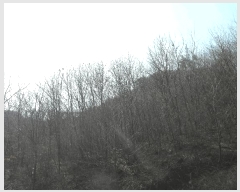  2025Ÿ��396  �Ӿ߰��