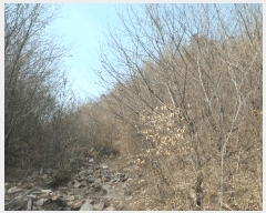  2025Ÿ��396  �Ӿ߰��