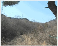  2025Ÿ��396  �Ӿ߰��