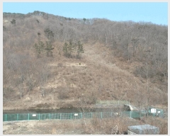  2025Ÿ��396  �Ӿ߰��