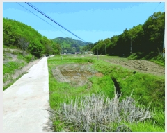  2025Ÿ��399 �泲 �ο��� ���̸� ���� 444      ����(��1)���