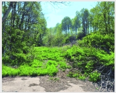  2025Ÿ��399 �泲 �ο��� ���̸� ���� 444      ����(��1)���