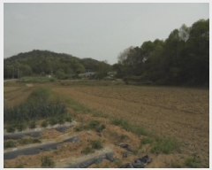  2025Ÿ��399 �泲 �ο��� ���̸� ���� 444      ����(��1)���