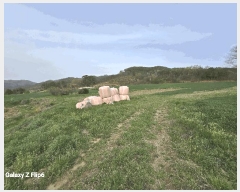  2025Ÿ��401 �泲 ����� ���̸� �ݾϸ� ��61      ����(�Ӿ�)���