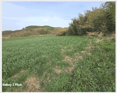  2025Ÿ��401 �泲 ����� ���̸� �ݾϸ� ��61      ����(�Ӿ�)���