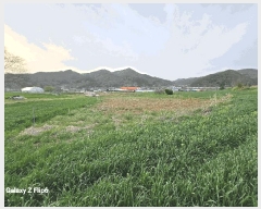  2025Ÿ��401 �泲 ����� ���̸� �ݾϸ� ��61      ����(�Ӿ�)���