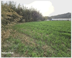  2025Ÿ��401 �泲 ����� ���̸� �ݾϸ� ��61      ����(�Ӿ�)���