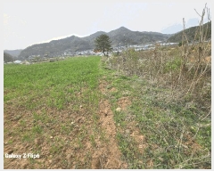  2025Ÿ��401 �泲 ����� ���̸� �ݾϸ� ��61      ����(�Ӿ�)���