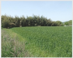  2025Ÿ��401 �泲 ����� ���̸� �ݾϸ� ��61      ����(�Ӿ�)���