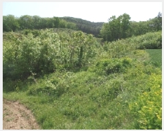  2025Ÿ��401 �泲 ����� ���̸� �ݾϸ� ��61      ����(�Ӿ�)���